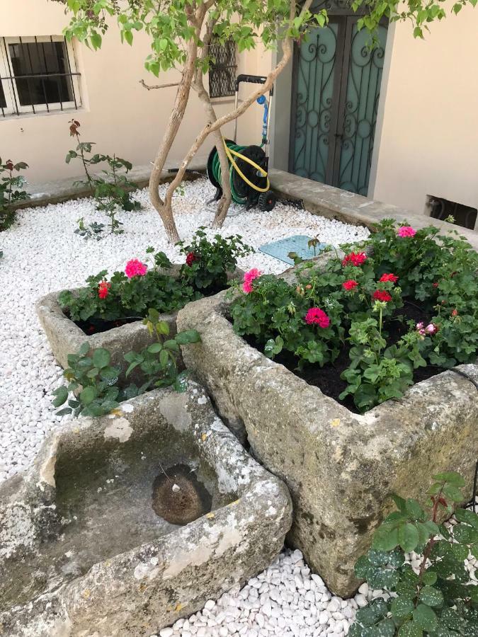 Giardini 82 B&B Gravina in Puglia Dış mekan fotoğraf